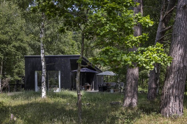 The home's wood-clad facade effortlessly blends into its natural surrounding.