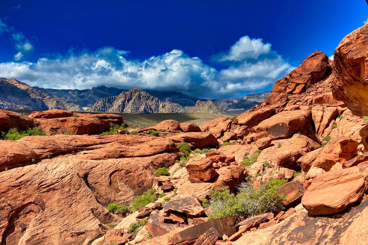 red rock national conservation area las vegas