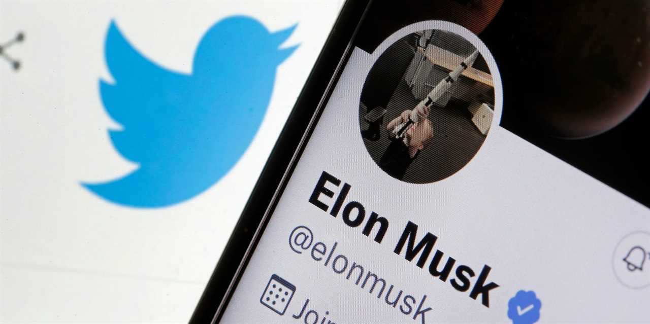 Elon Musk's Twitter account with Twitter logo.