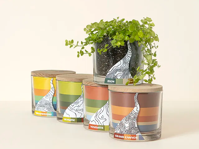 plants from different national parks in glass jars