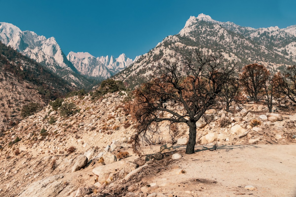 California desert