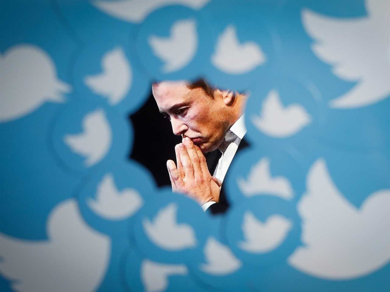 An image of new Twitter owner Elon Musk is seen surrounded by Twitter logos in this photo illustration.