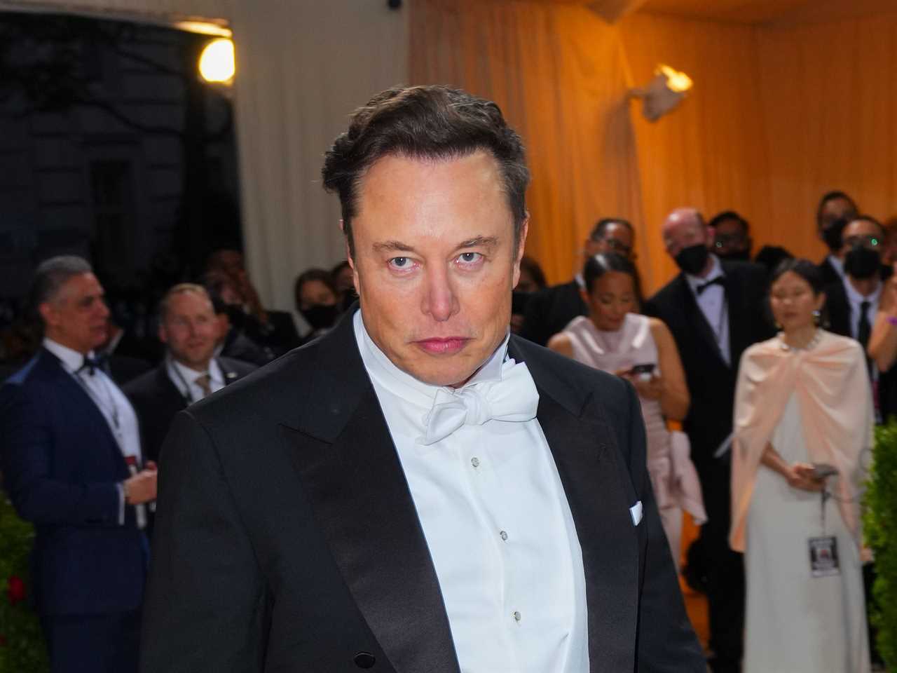 Elon Musk