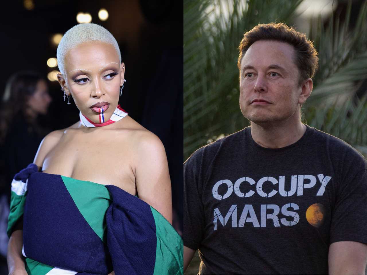 Doja Cat / Elon Musk