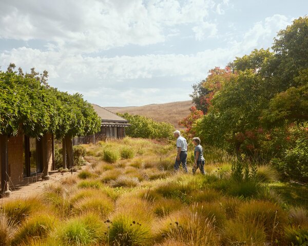 At the ranch of Nancy and Tony Lilly in the hills of Sonoma, an area plagued by drought and fires, landscape designer John Greenlee struck a balance between beauty and resiliency with a water-wise meadow-garden.