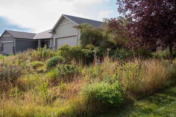 Landscape designer Benjamin Vogt is slowly helping to re-prairie suburbia and establish native habitats through his activism and business, Monarch Gardens.