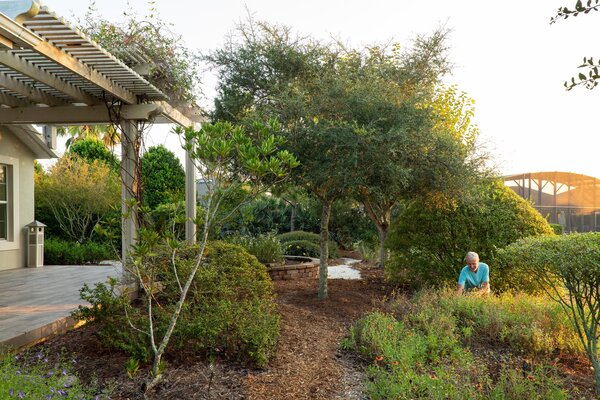 This Floridian Designer Overcame Neighborhood Restrictions for a Lawn-like Look