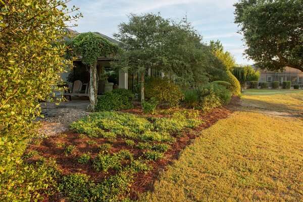 This Floridian Designer Overcame Neighborhood Restrictions for a Lawn-like Look