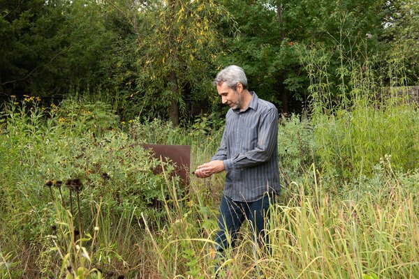 Check Out This Re-Wilded Suburban Home in Lincoln, Nebraska