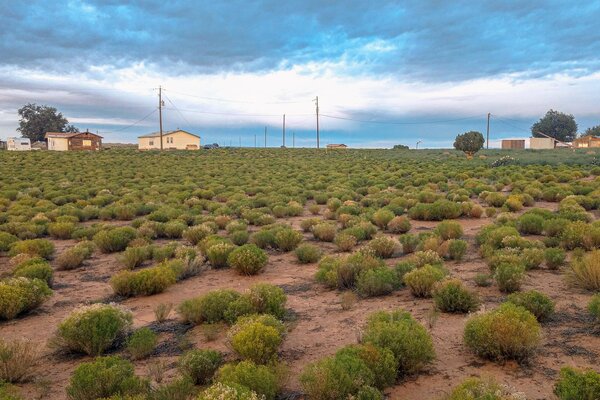 The Navajo Nation, also known as Navajoland (or <span style="font-family: Theinhardt, -apple-system, BlinkMacSystemFont, &quot;Segoe UI&quot;, Roboto, Oxygen-Sans, Ubuntu, Cantarell, &quot;Helvetica Neue&quot;, sans-serif;"><i>Diné Bikéya </i>in the Navajo language) covers </span><span style="font-family: Theinhardt, -apple-system, BlinkMacSystemFont, &quot;Segoe UI&quot;, Roboto, Oxygen-Sans, Ubuntu, Cantarell, &quot;Helvetica Neue&quot;, sans-serif;">roughly 27,000 square miles and extends into chunks of Arizona, New Mexico, and Utah.</span>