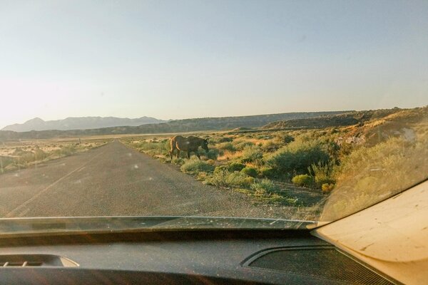 One Night In a Hogan on Navajo Nation