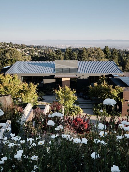 The home nestles comfortably into its surroundings, rather than feeling 'perched' awkwardly atop the sloped landscape.