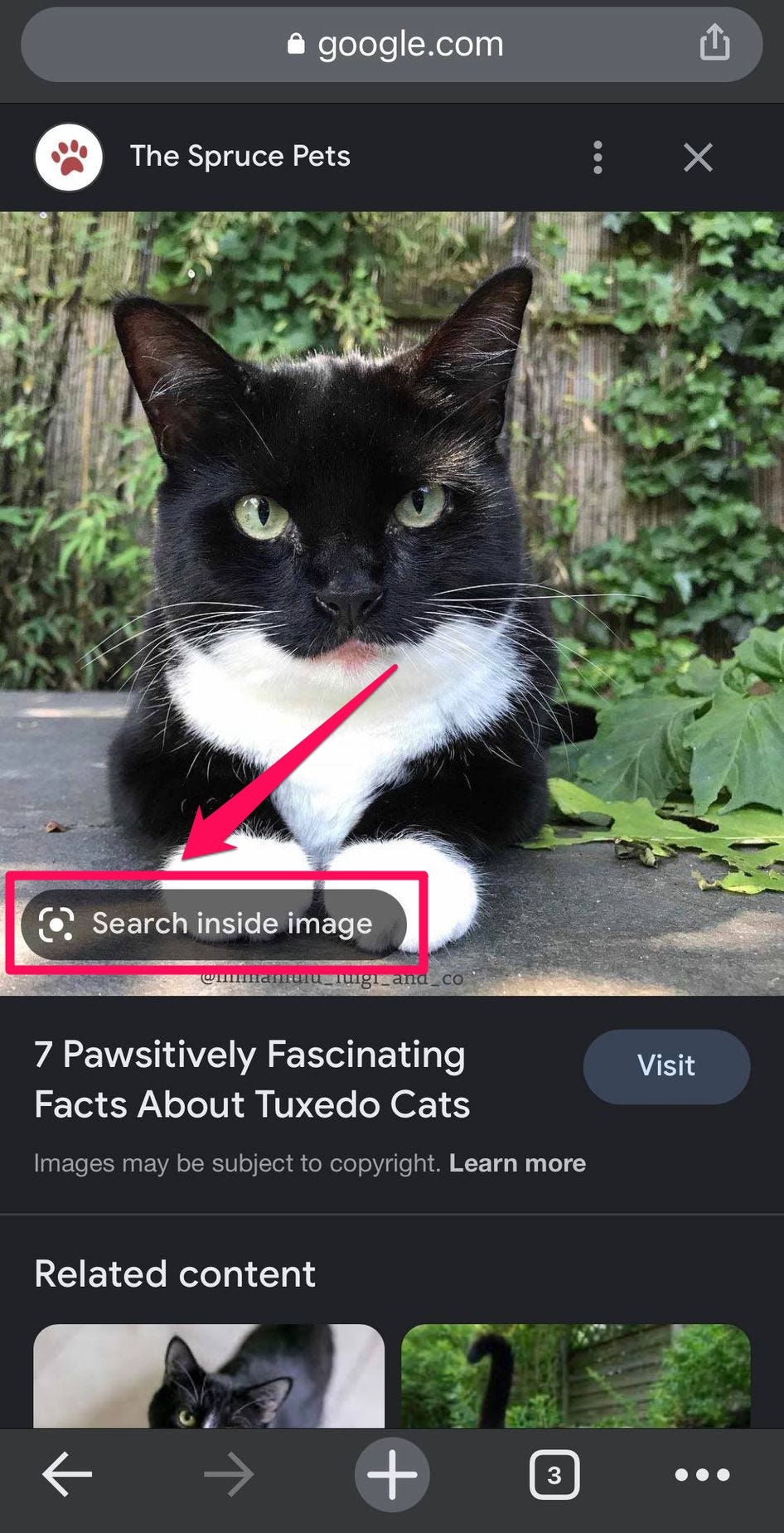 An image that has been selected in the Chrome app, with the Google Lens icon.