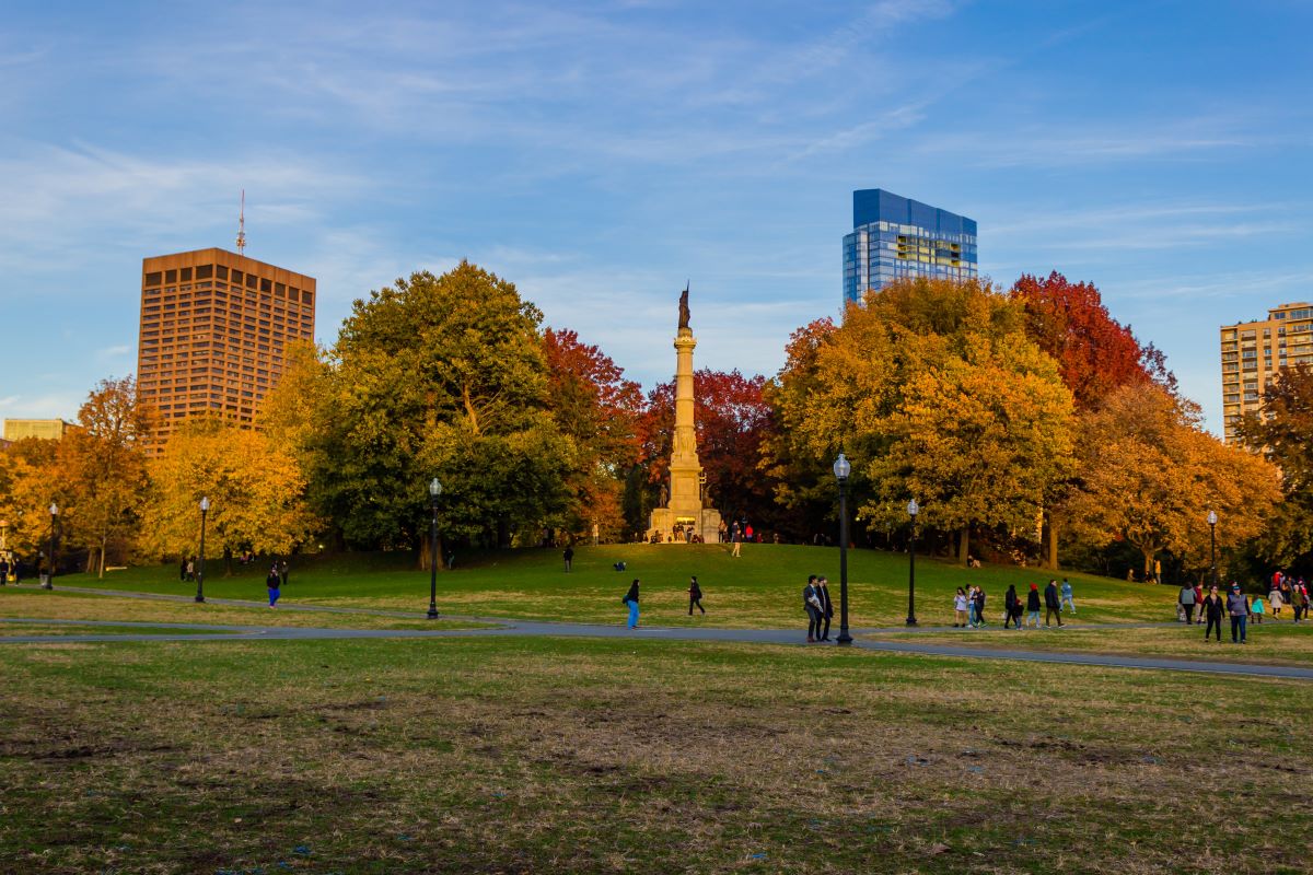 Boston Public Garden