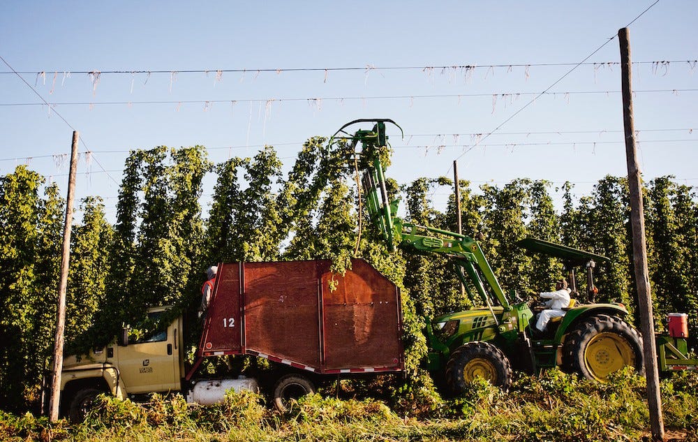 Bale Breaker Brewing