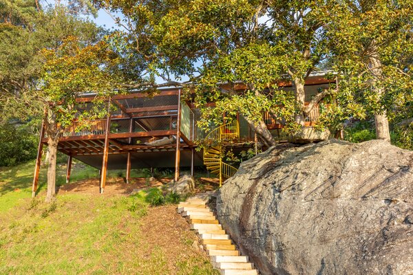 This Home’s Hillside Perch Gives It the Feeling of Floating in the Trees