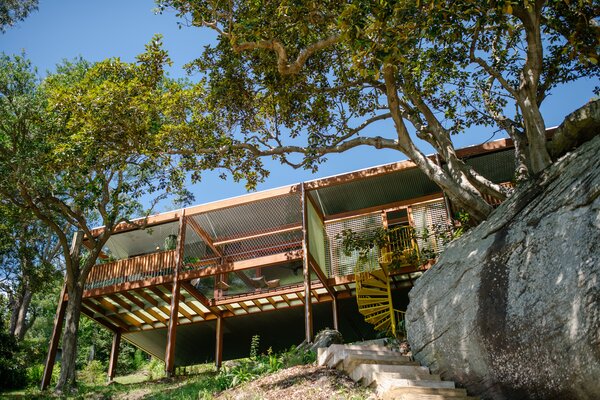 This Home’s Hillside Perch Gives It the Feeling of Floating in the Trees