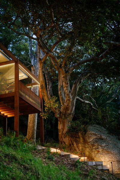 This Home’s Hillside Perch Gives It the Feeling of Floating in the Trees