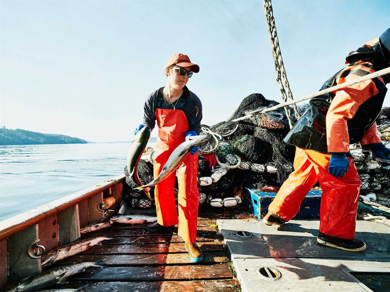 Person holding a fish on a boat