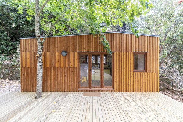 The wood-wrapped tiny home features a deck pierced by a tree trunk.