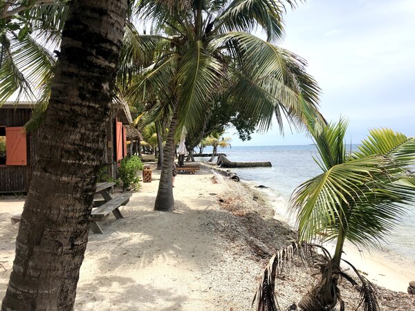 The owner of the island, Terry Tao, built the main house, which sits inches from the water.