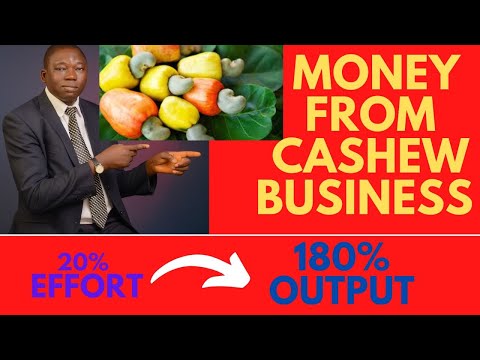 How to make money in cashew business