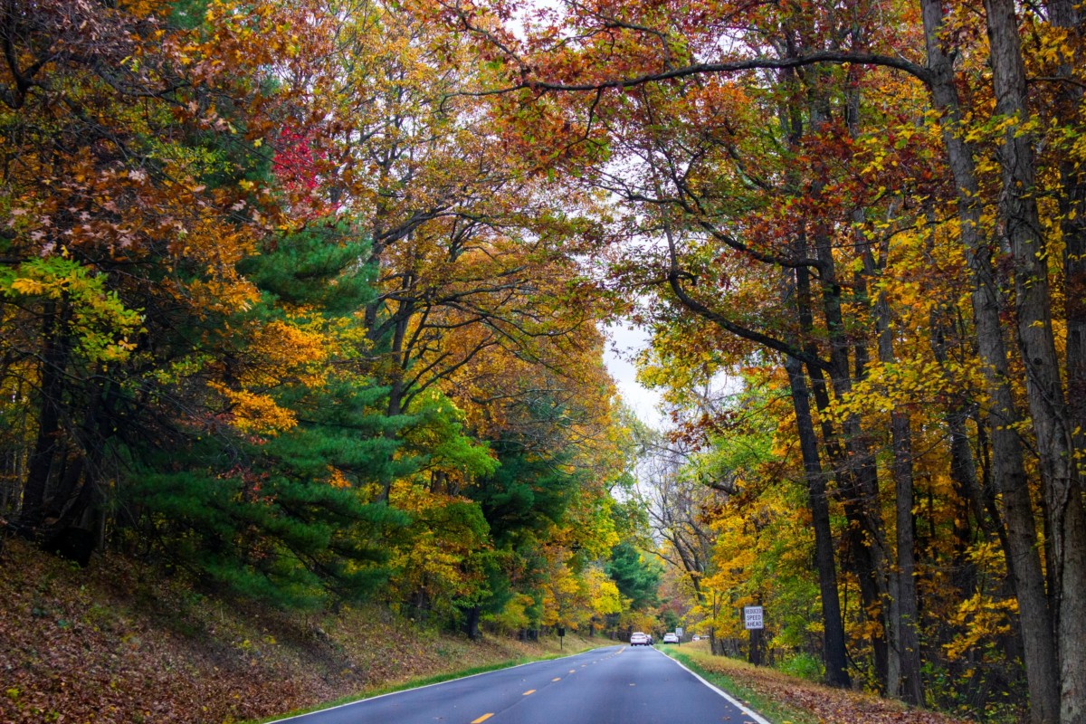 arlington virginia suburbs during the fall