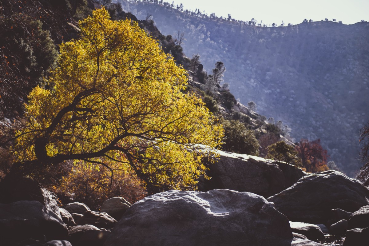 nature surrounding baketsfield with trees and mountains