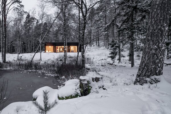 Rhythmic Black Timber Makes This Swedish Cabin Pop Against Its Surroundings