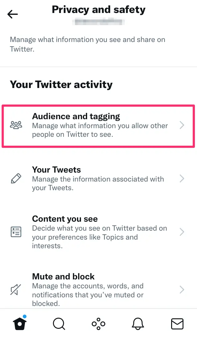 Audience and tagging option highlighted in settings by a hot pink box.