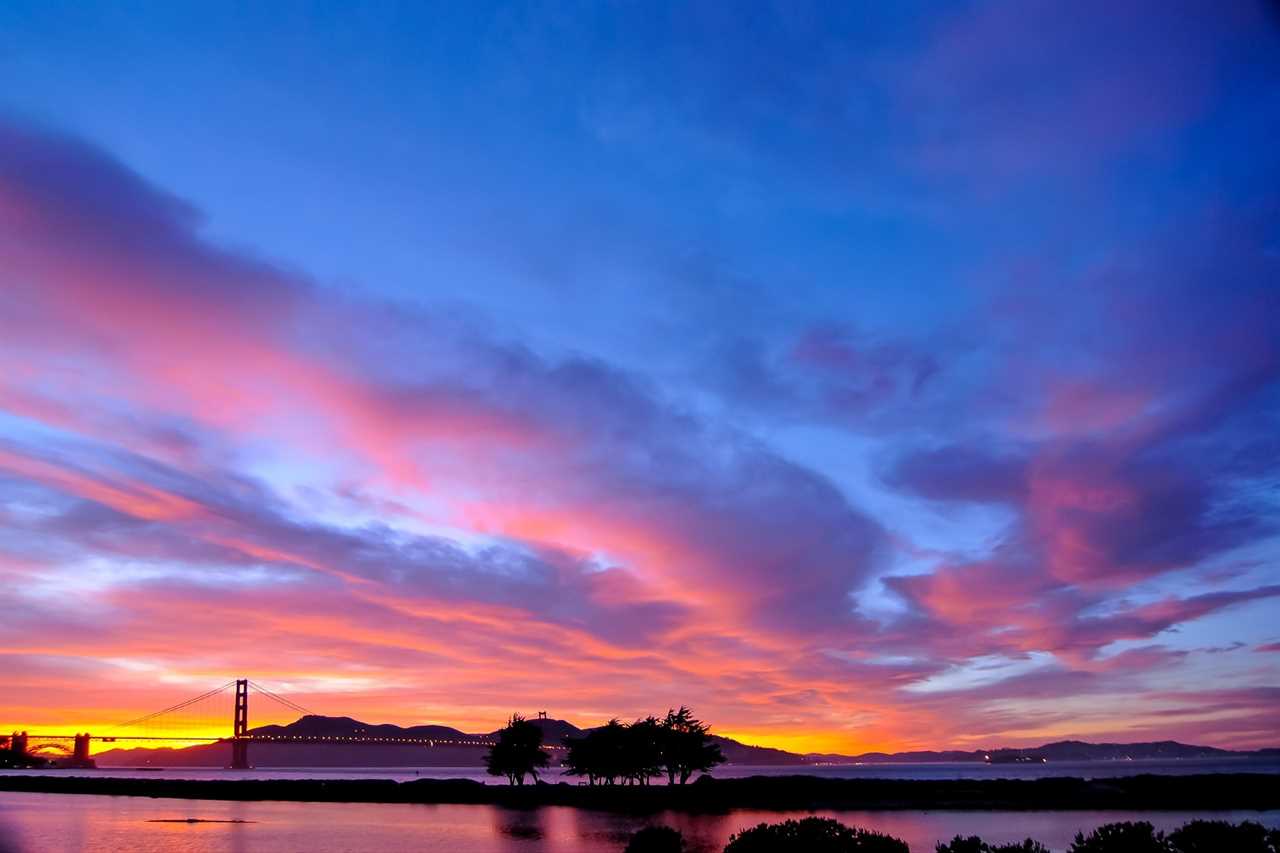 Silhouette of trees and bridge during golden hour