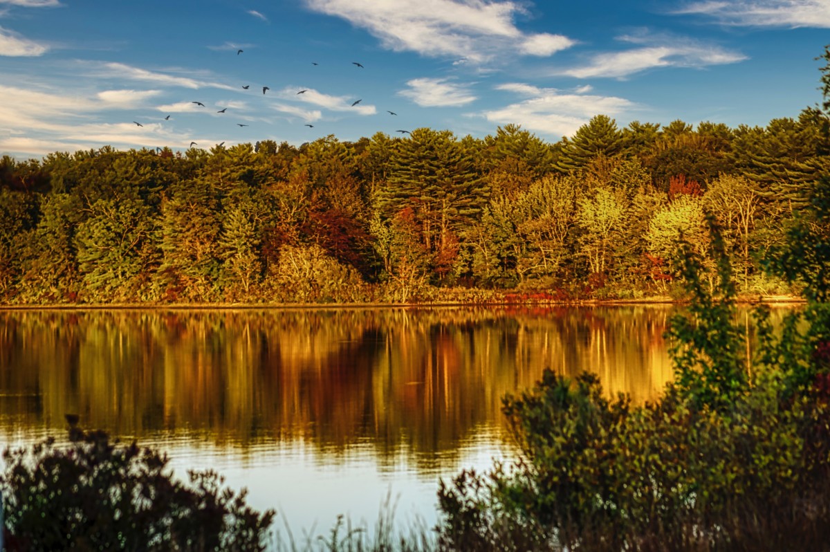 lake view with autumnal trees and cloudy skies