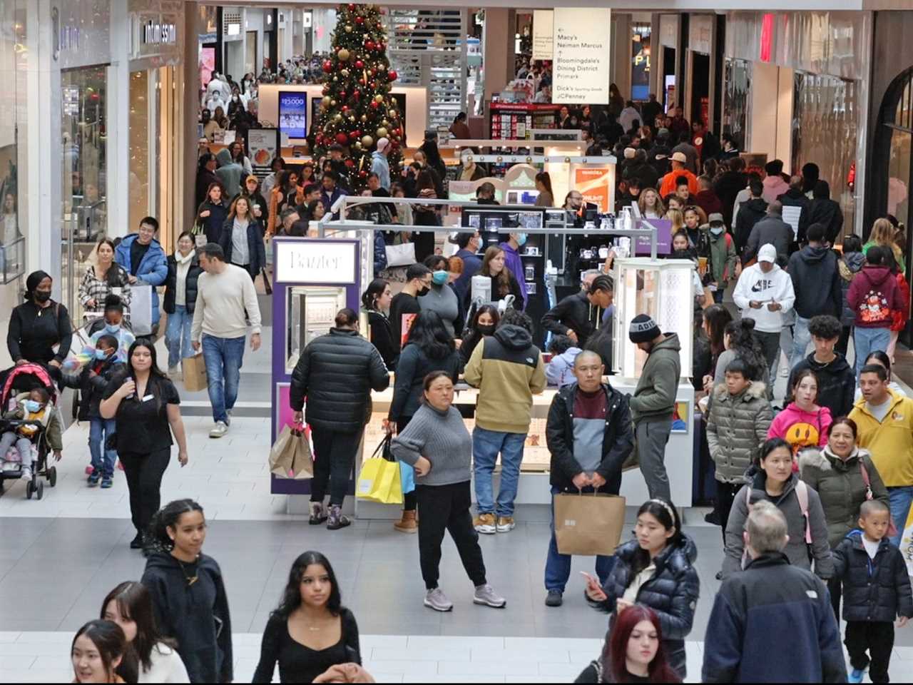 Shoppers in crowded mall during holidays 2022