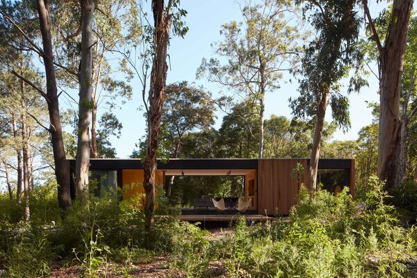 A Prefab Cabin Camouflaged in a South American Forest Glows From Within