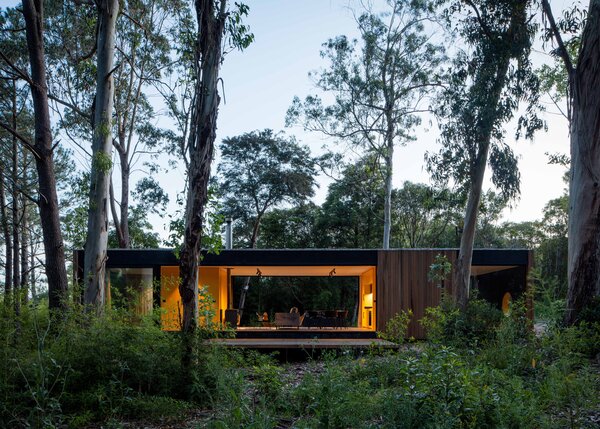 A Prefab Cabin Camouflaged in a South American Forest Glows From Within