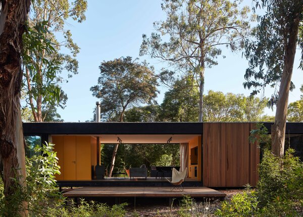 A Prefab Cabin Camouflaged in a South American Forest Glows From Within