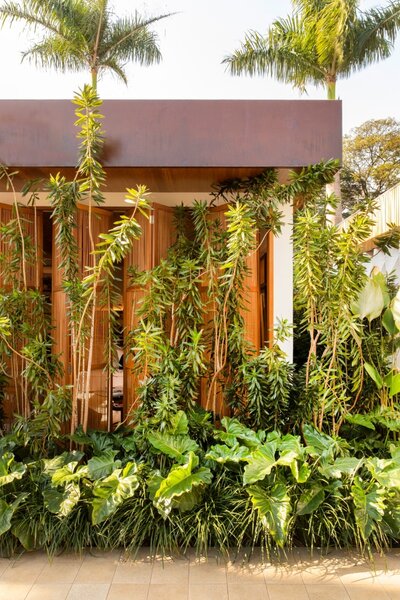 A Home in Brazil Is Partially Climate Controlled by Its Lush Plants