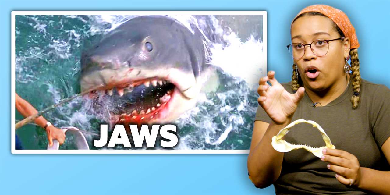 Expert in olive green shirt holding a shark jaw model to explain the scene from the movie "Jaws"