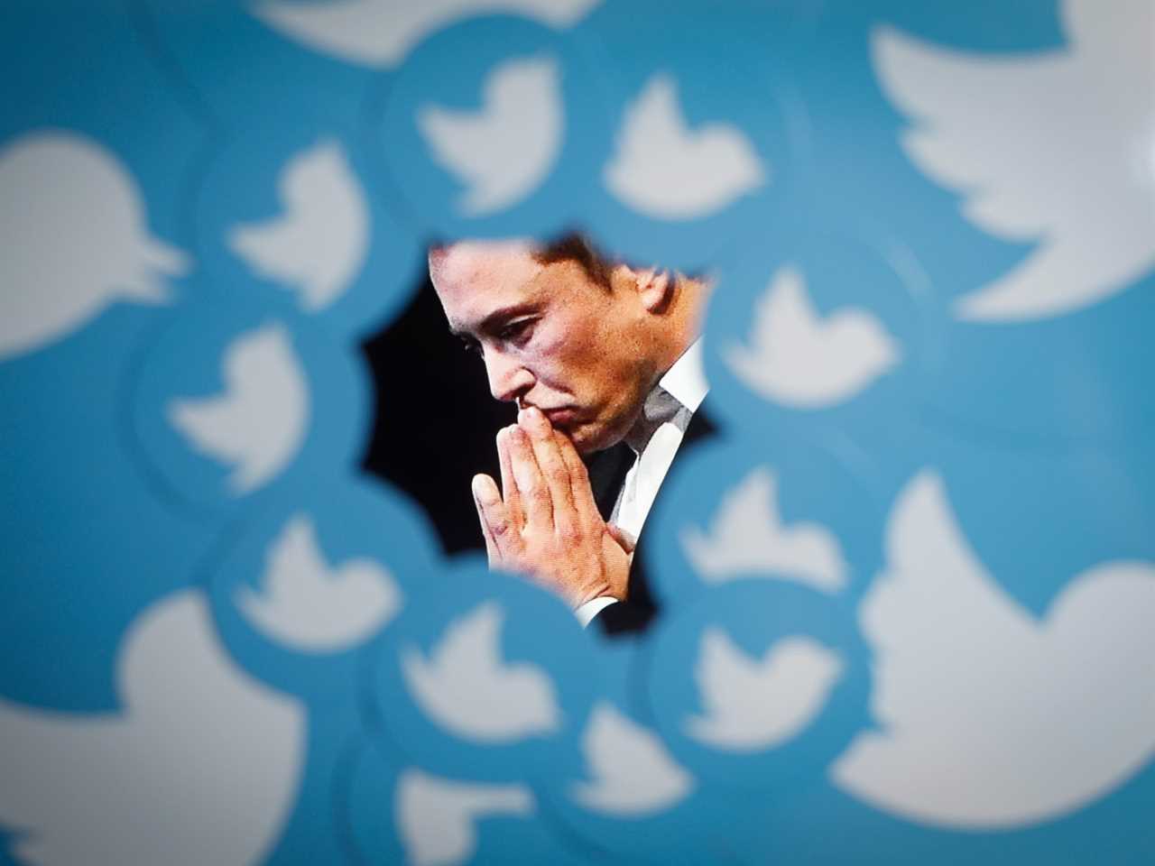 An image of new Twitter owner Elon Musk is seen surrounded by Twitter logos in this photo illustration.