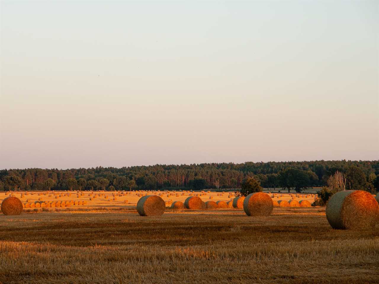 Hay barrels in Oklahoma City, Oklahoma, near Yukon.