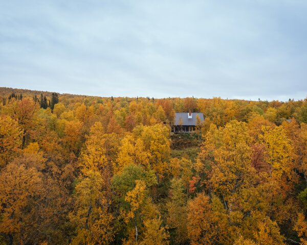 A Central Fireplace Anchors This Uber-Cozy Cabin in a Swedish Forest