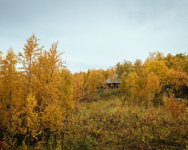 A Central Fireplace Anchors This Uber-Cozy Cabin in a Swedish Forest