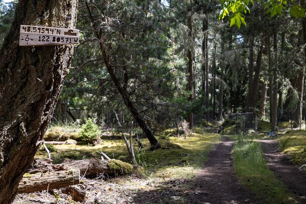 Architect Carsten Stinn wanted to keep the property as untouched as possible, only carving out roads or removing fallen trees when necessary. Since starting on the project in 2017, he and his family have planted more than 80 trees around the acreage.