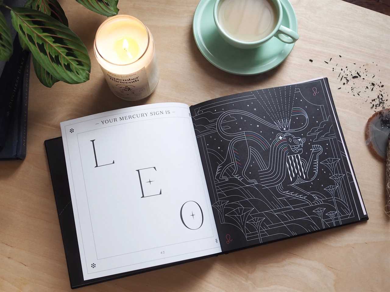 open book, left side page says "LEO" in black text on white background and black page has Leo constellation in white on black background — best sentimental gifts