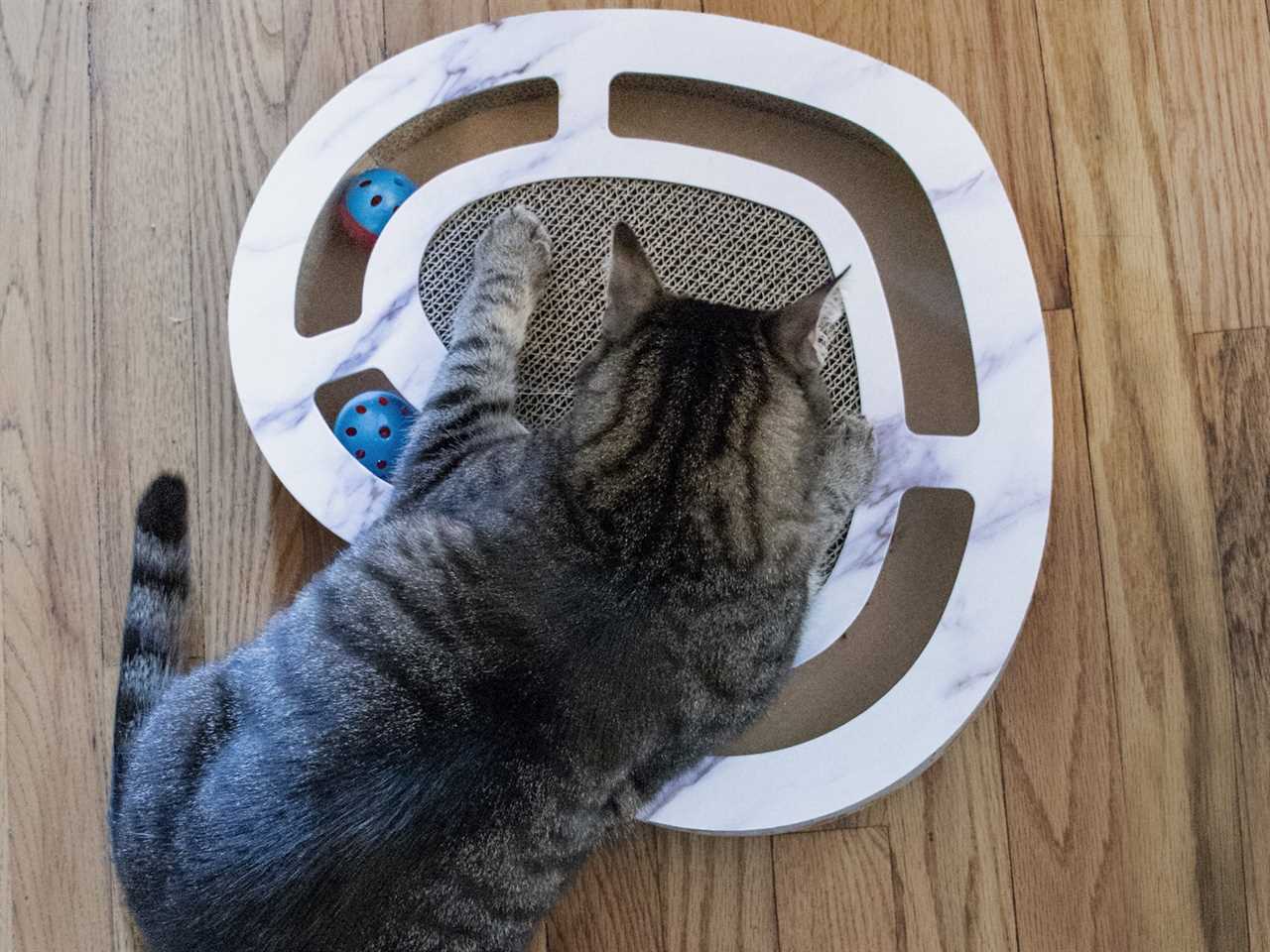 A tabby cat playing with a heart-shaped cat scratcher set on a wood floor.