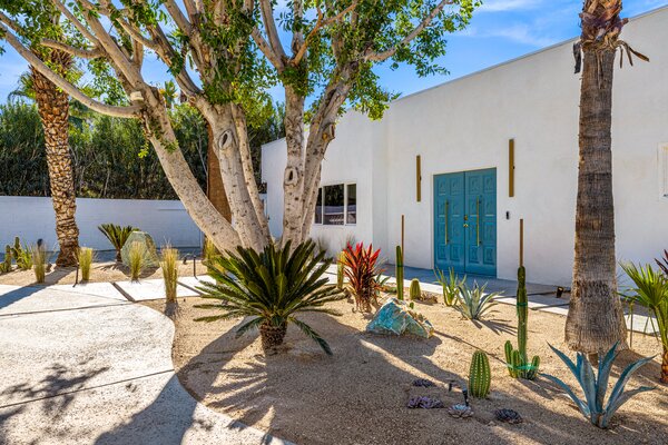 The bright blue entrance pops against the native vegetation dotting the front yard.