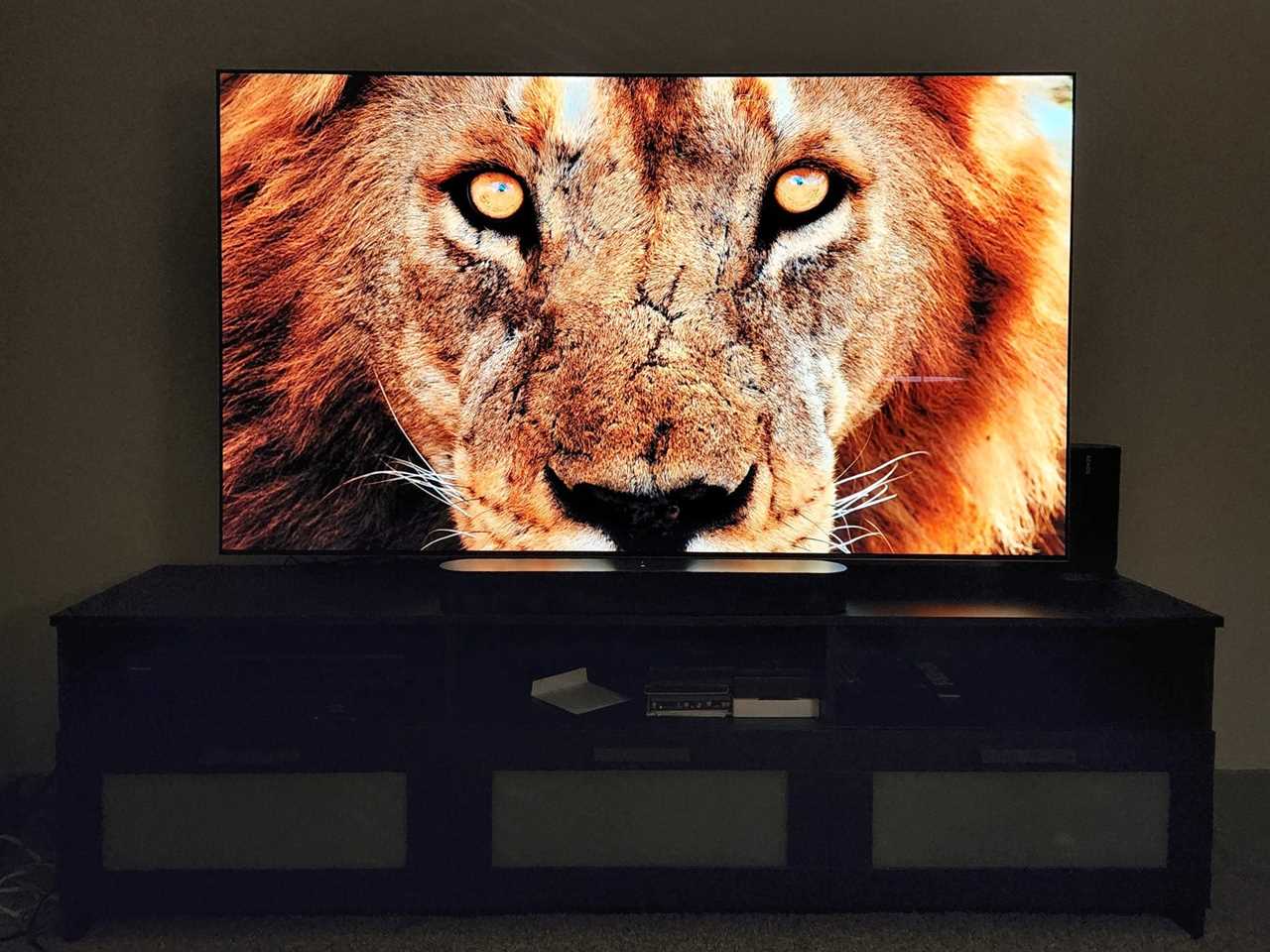 A close-up image of a lion on an LG G2 OLED 4K TV.