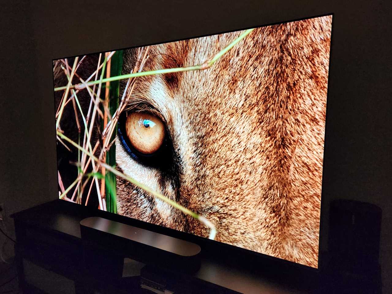 A close-up image of an animal's eye on an LG G2 OLED TV.