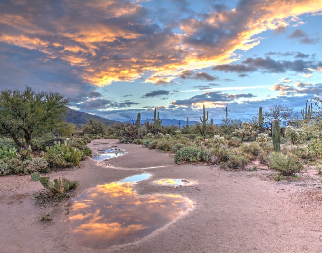 sabino canyon in tucson after rain