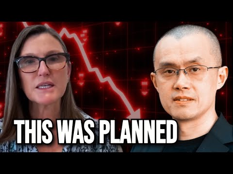 They Are Coming For Crypto - Cathie Wood And CZ Warning!